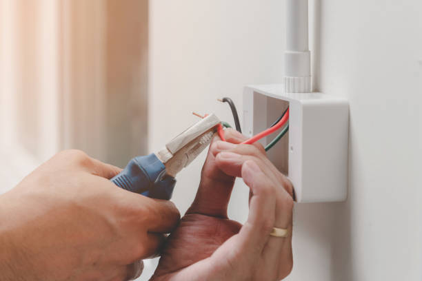 Best Electrical Safety Inspections  in Caro, MI