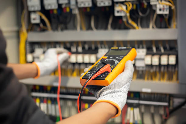 Best Electrical Panel Upgrades  in Caro, MI